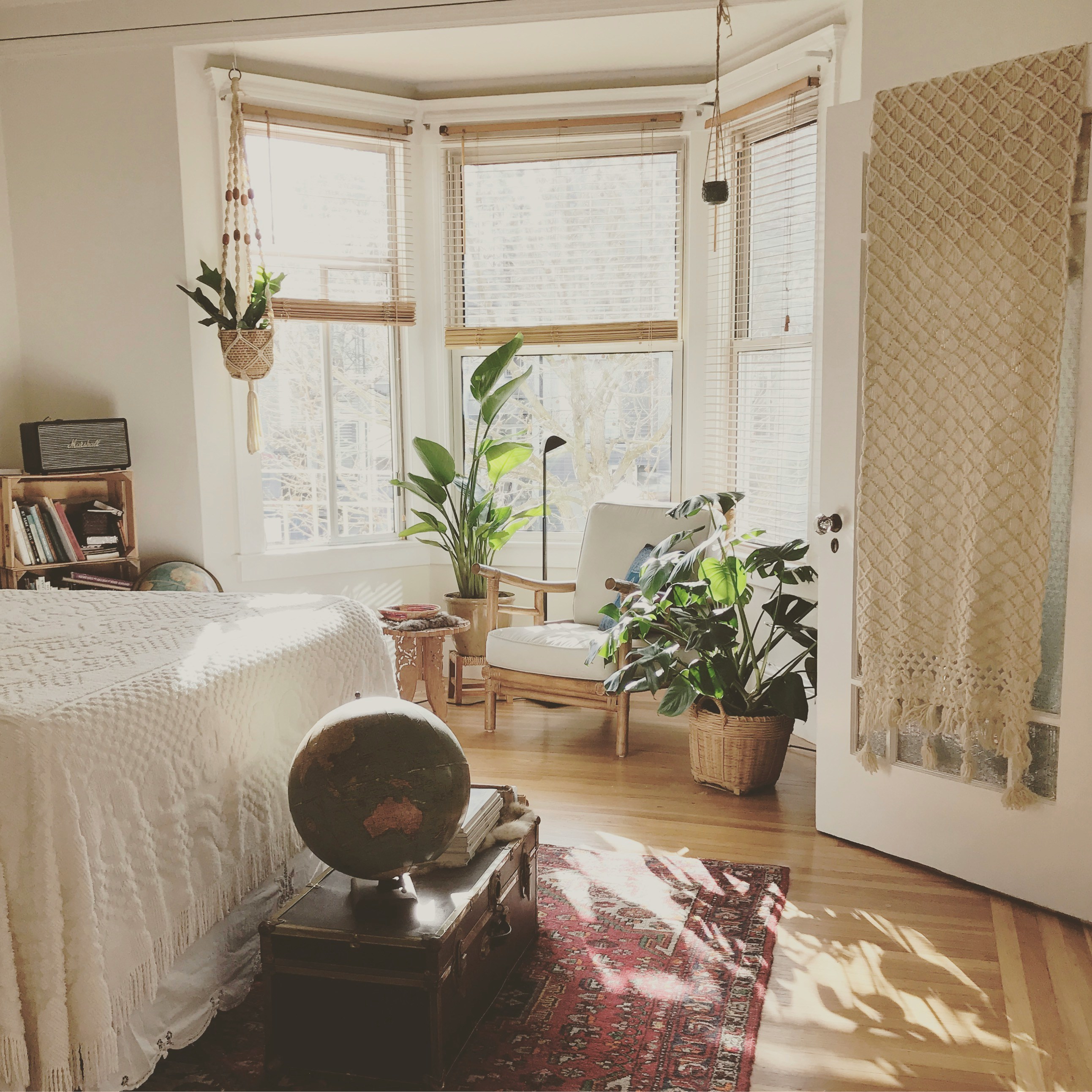 Family apartment 3-rooms Novi Sad