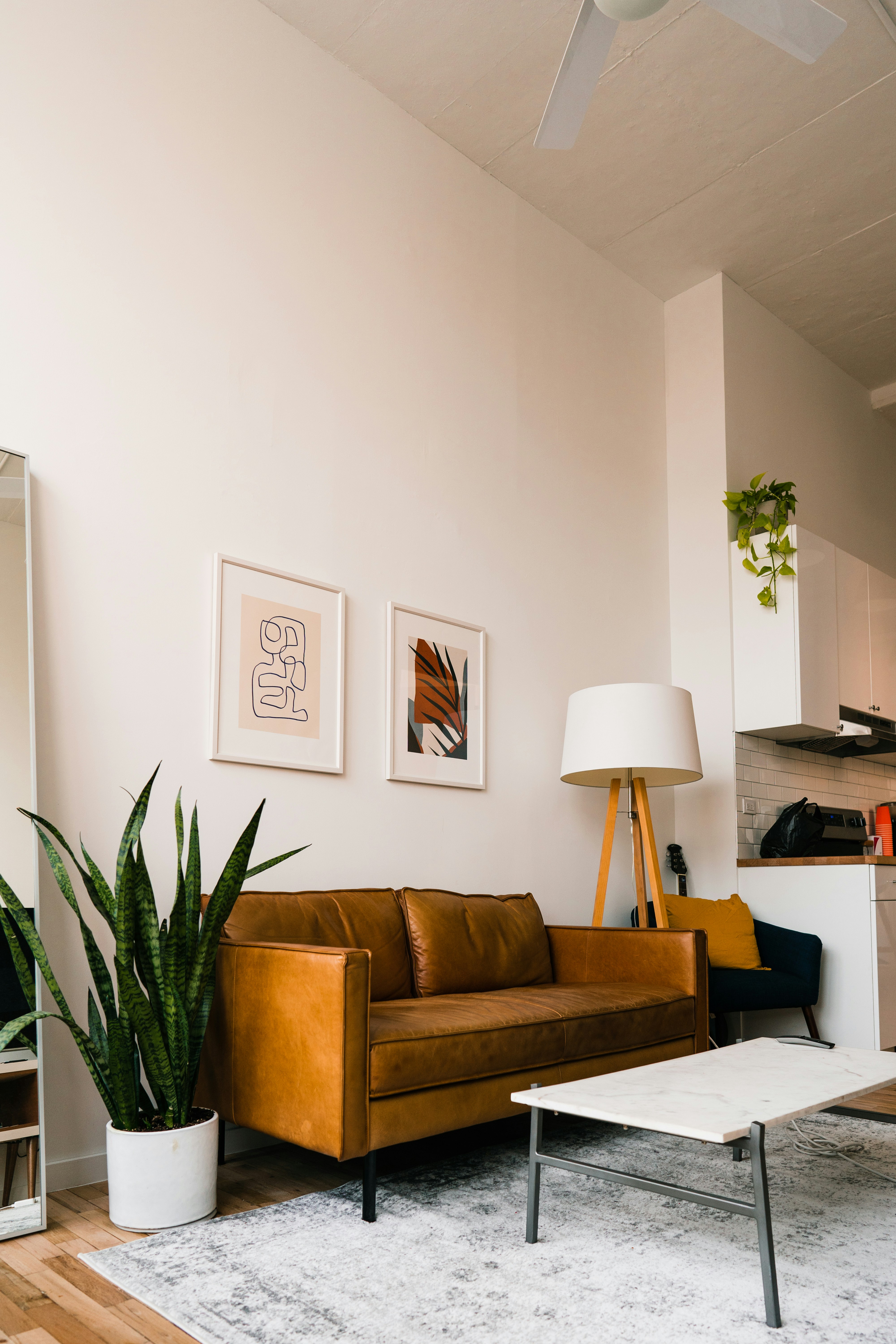 Furnished studio for rent – Palilula
